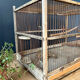 Wooden bird cage