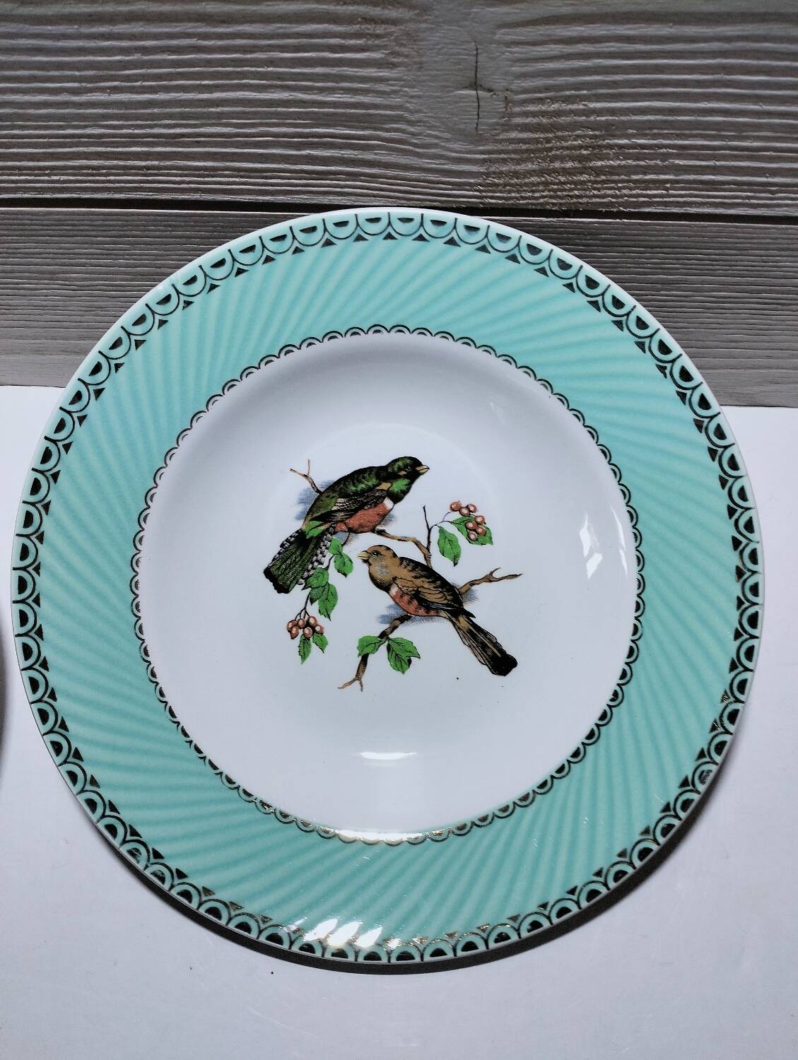 Lot de 6 assiettes oiseaux