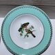 Lot de 6 assiettes oiseaux