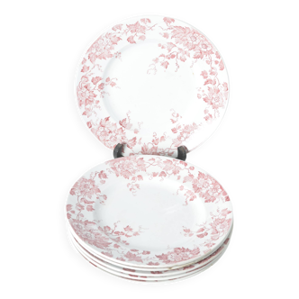 Assiettes plates terre de fer St Amand & hamage