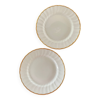 2 Assiettes porcelaine de limoge Bernardeau