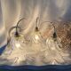 Vintage waterfall pendant light