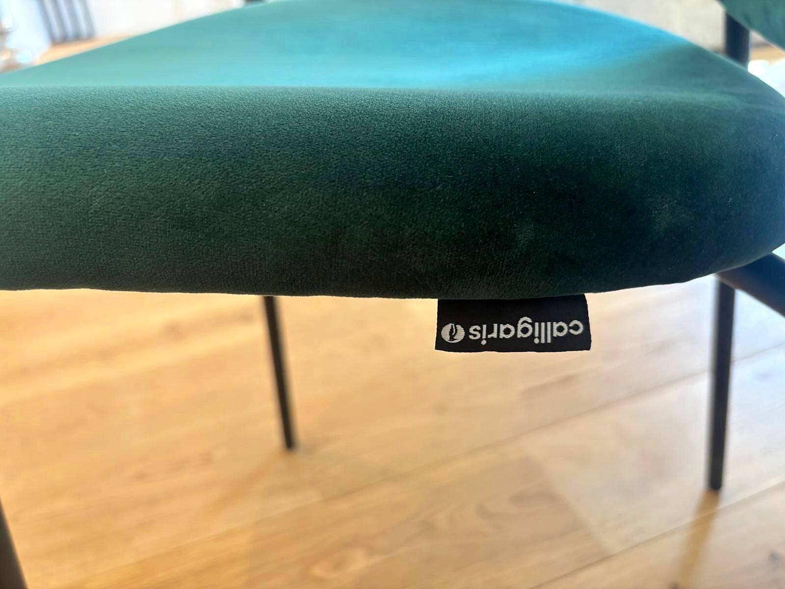 Set of 10 Calligaris Ines chairs in green velvet and tropical fabric.