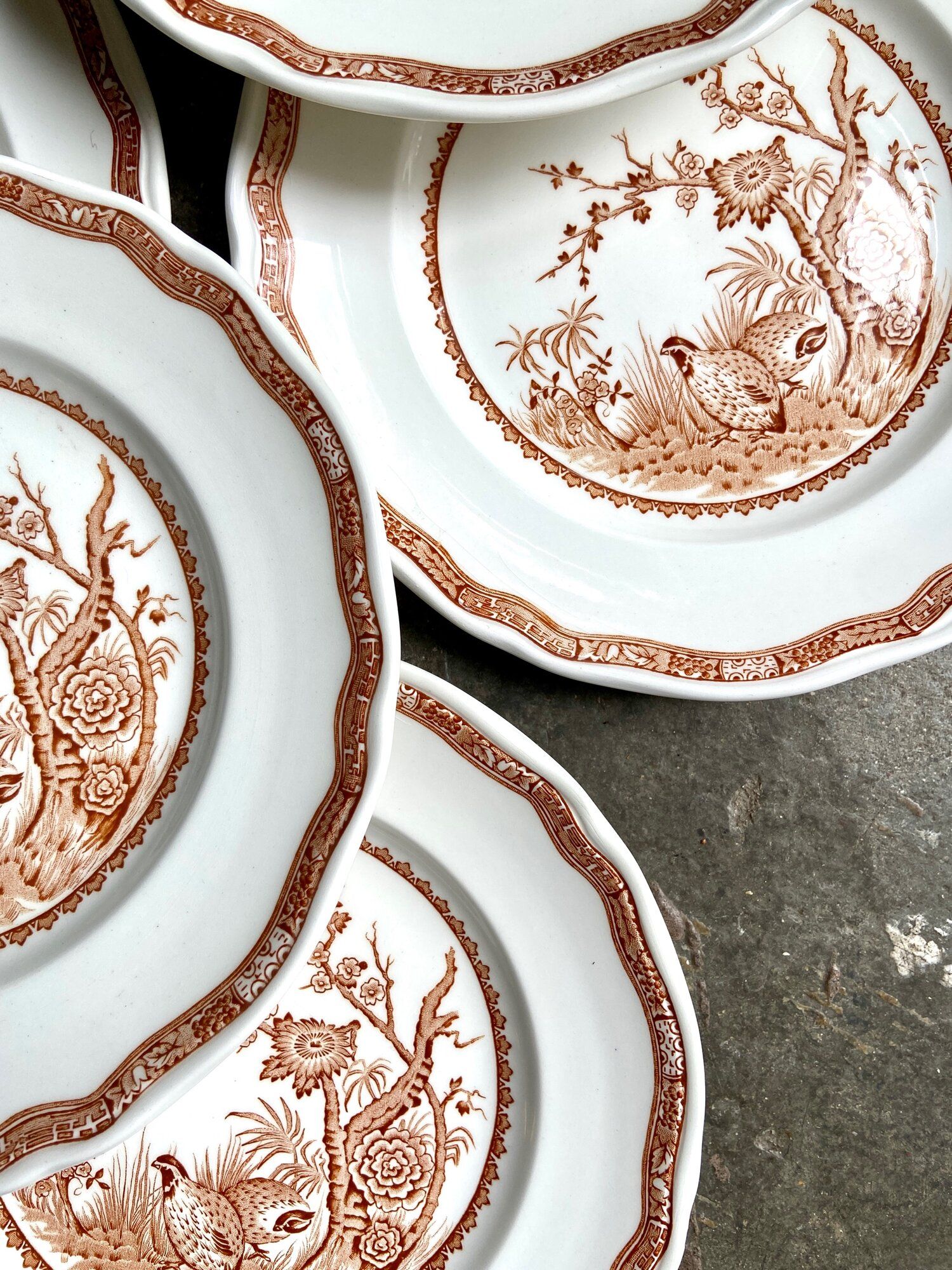6 flat plates in ochre English ironland, service "Furnivals Quail"
