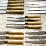 Series of horn knives