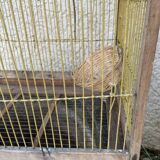 Ancienne cage à oiseaux
