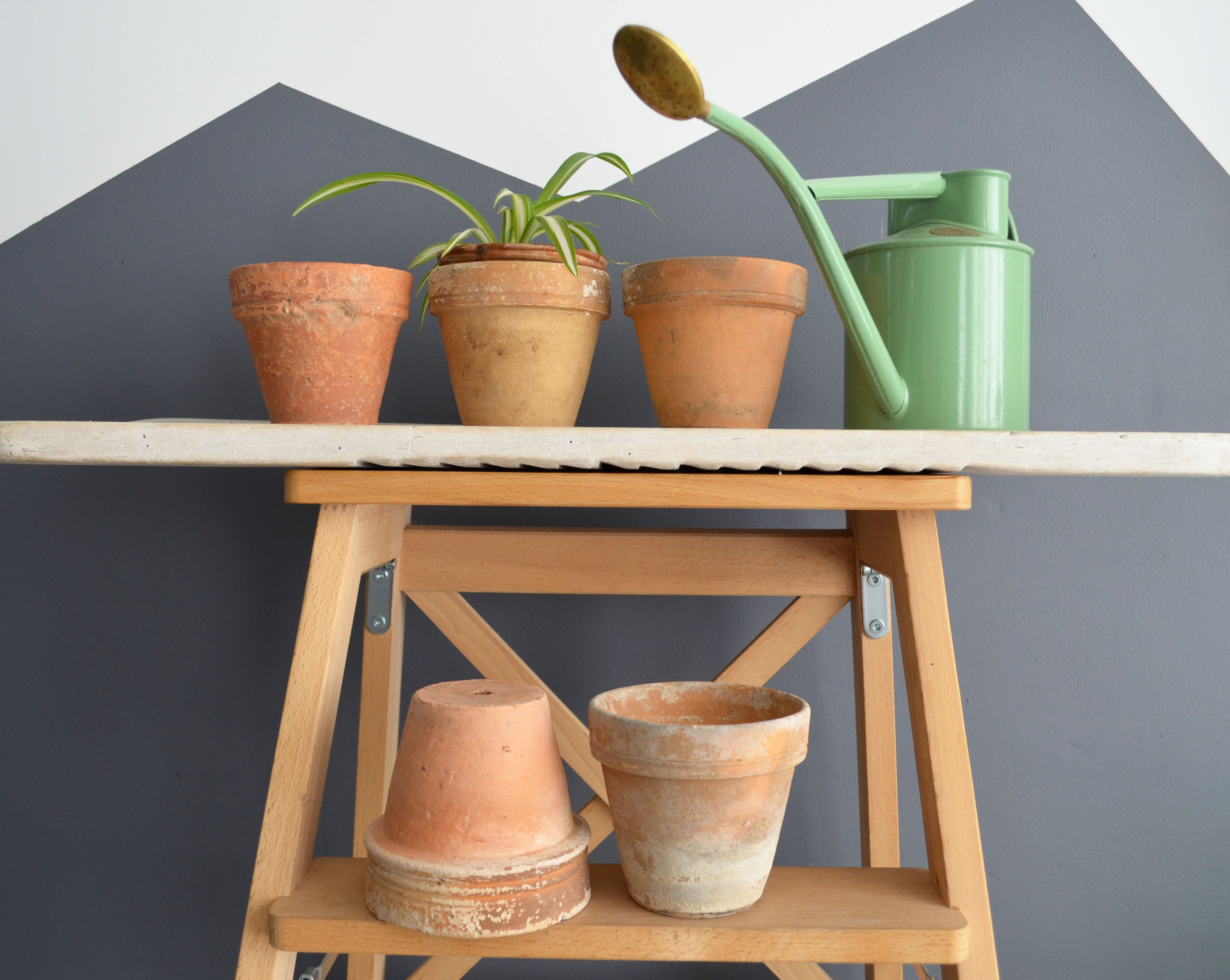 5 old terracotta pots 10 cm