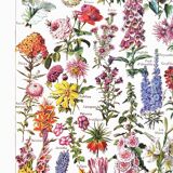 Affiche sur les fleurs, d'après une lithographie de 1922