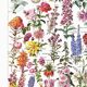 Poster about flowers, after a 1922 lithograph