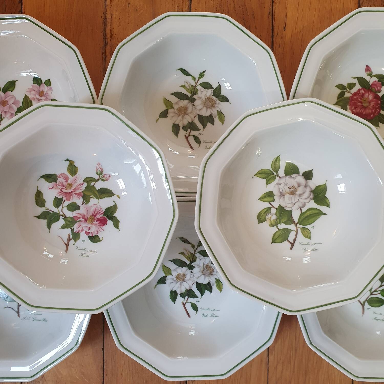 8 Médicis bowls - national porcelain company