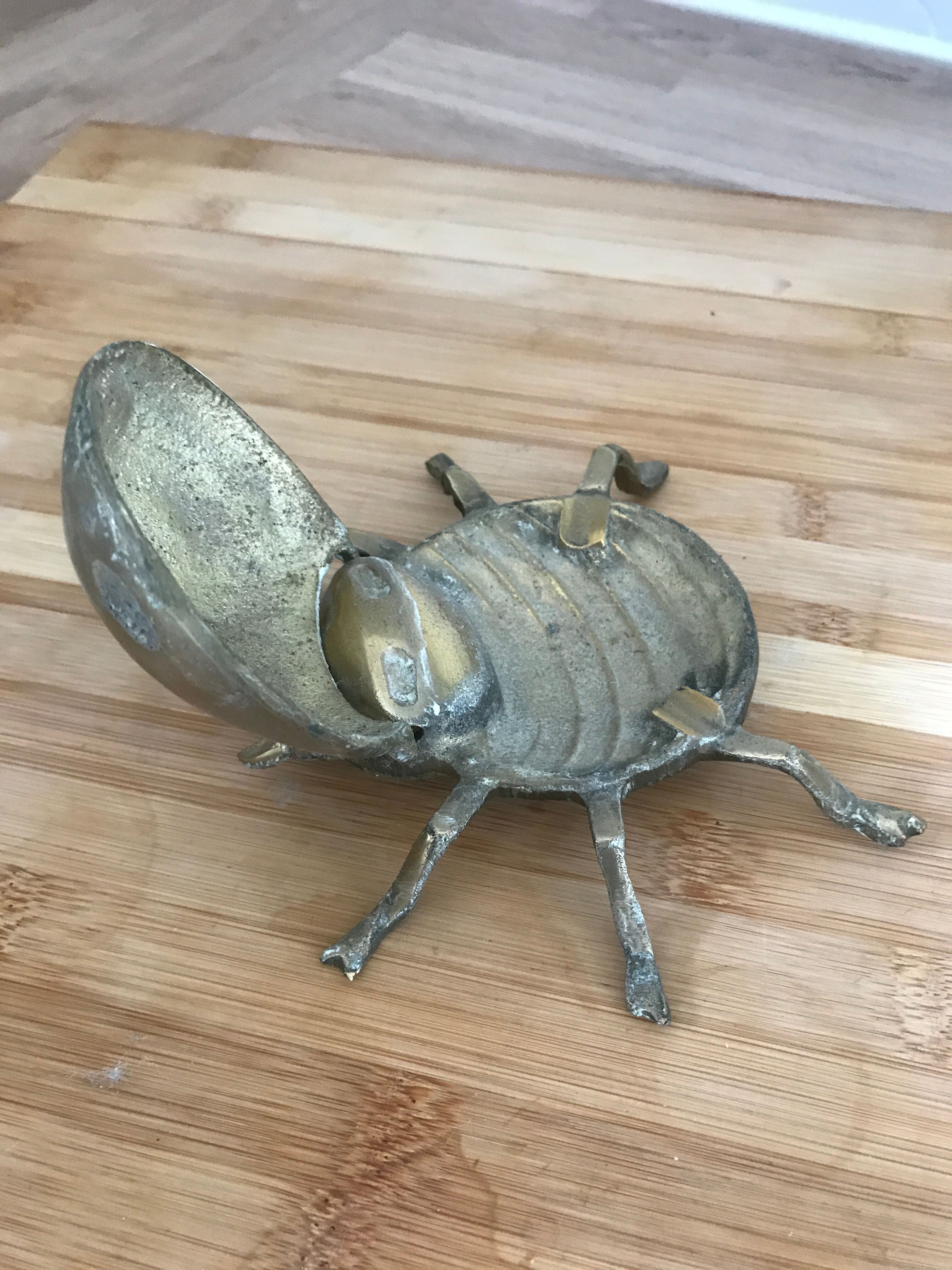 Brass Beetle