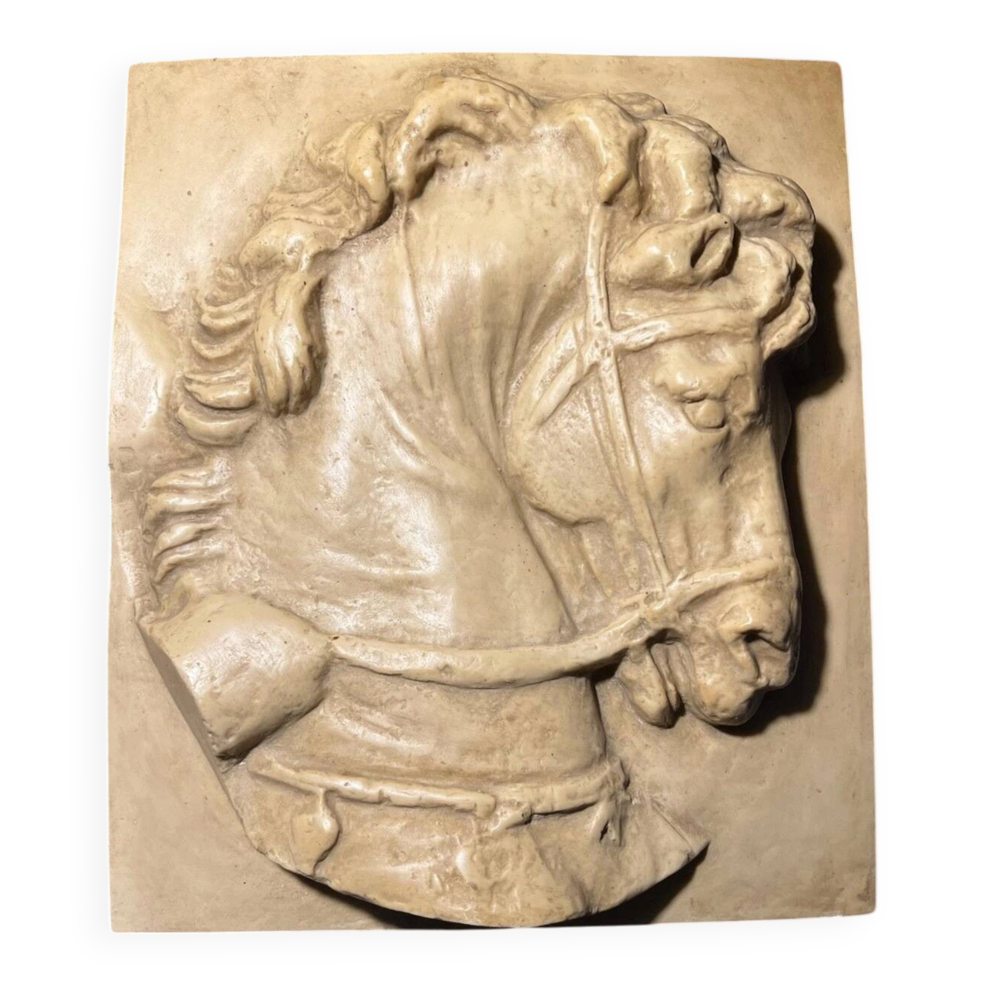 Moulding of the Louvre - Bas relief - Profile - Horse's head
