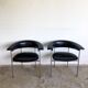 Pair of chairs model gamma Rudolf Wolf 1960