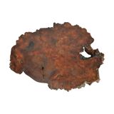 Vintage Rustic Side Table Root Wood Tree Trunk Tripod Coffee Table