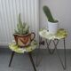 Plants holder, 1970