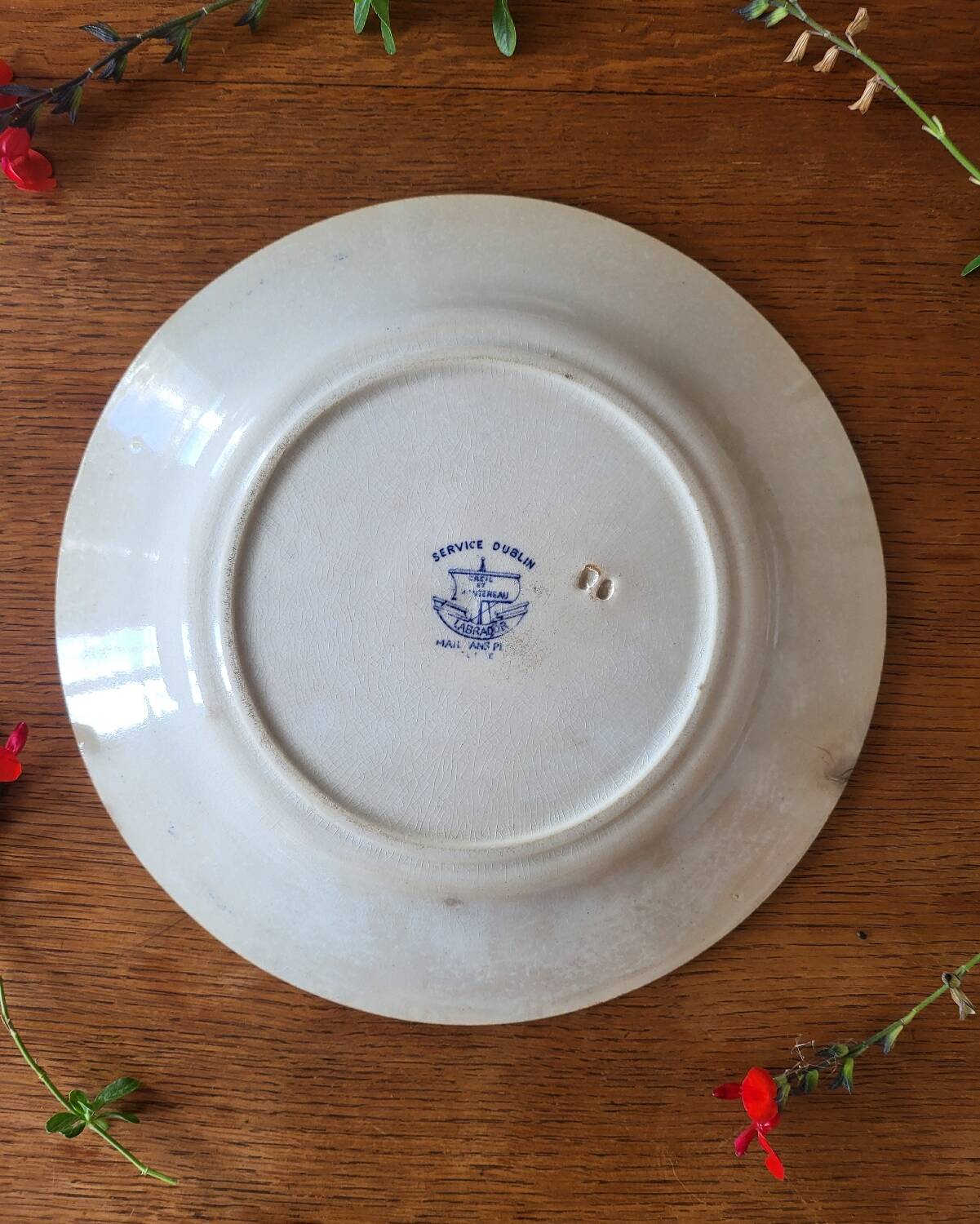 Old Earthenware Plate Creil and Montereau Dublin Service
