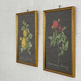 Pair of flower engravings
