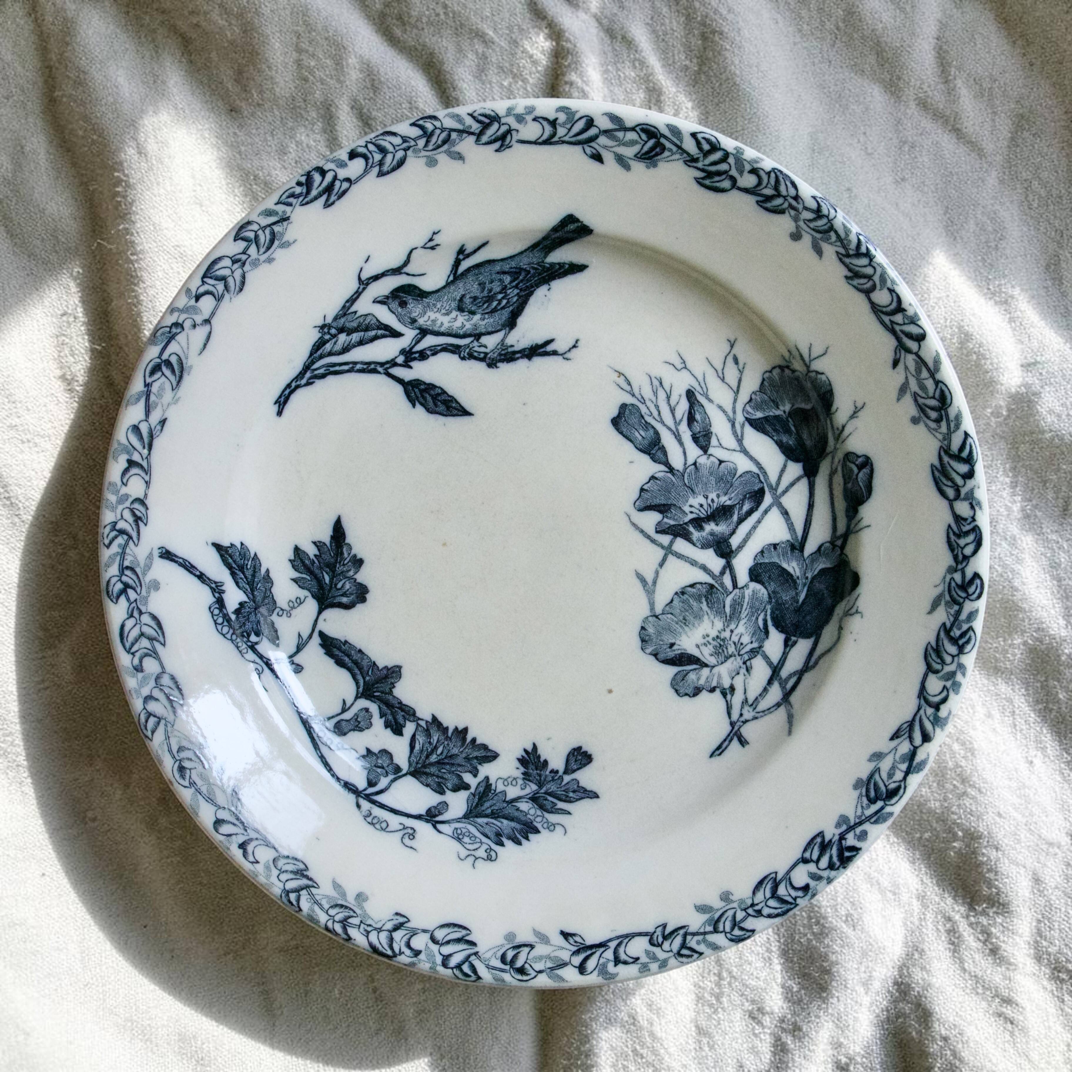 Assiettes plates oiseaux du XIXe siècle terre de fer signées Onnaing