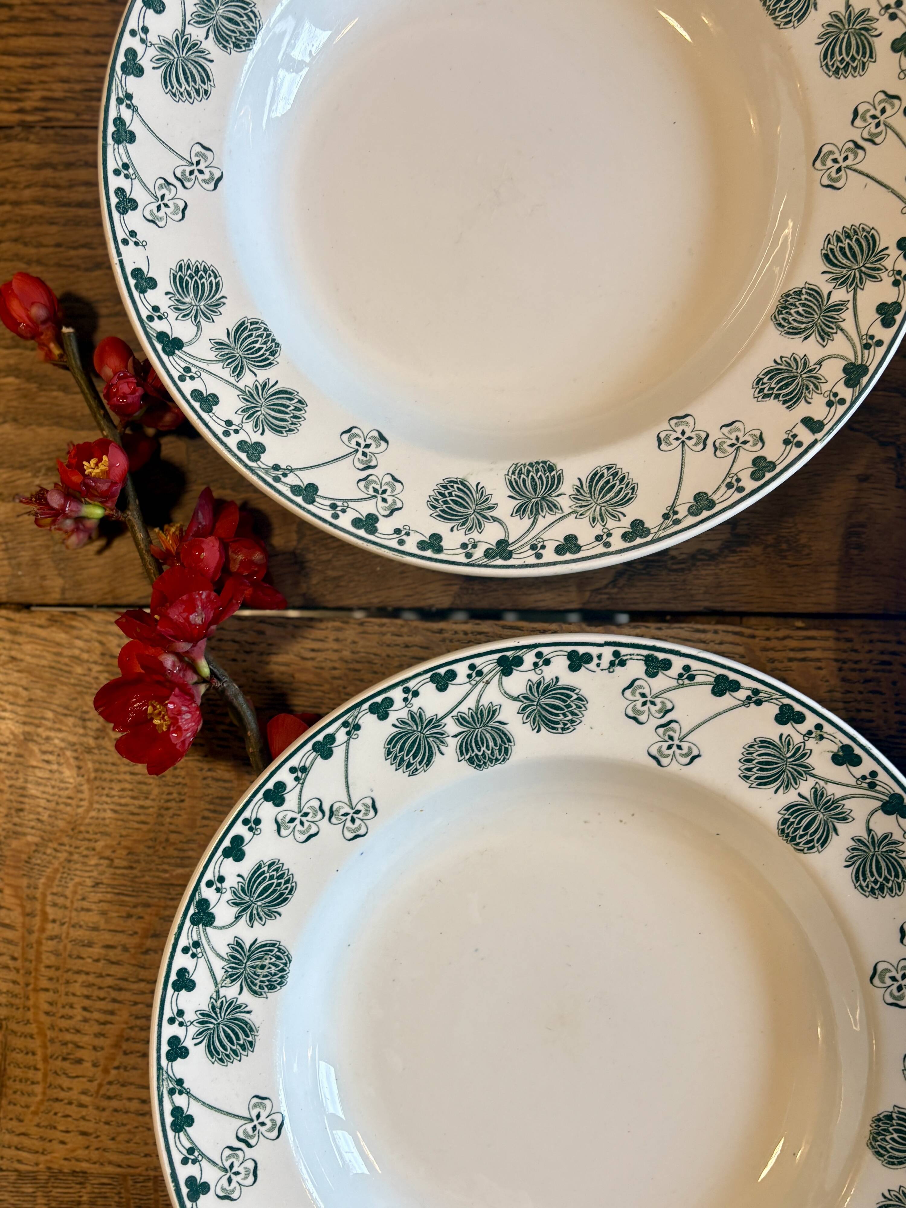 Set of 4 antique deep plates in ironstone - Clovers -