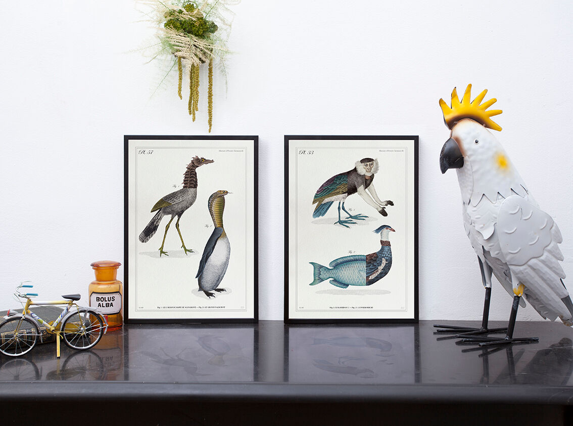 2 Chimeras lithography animal engraving