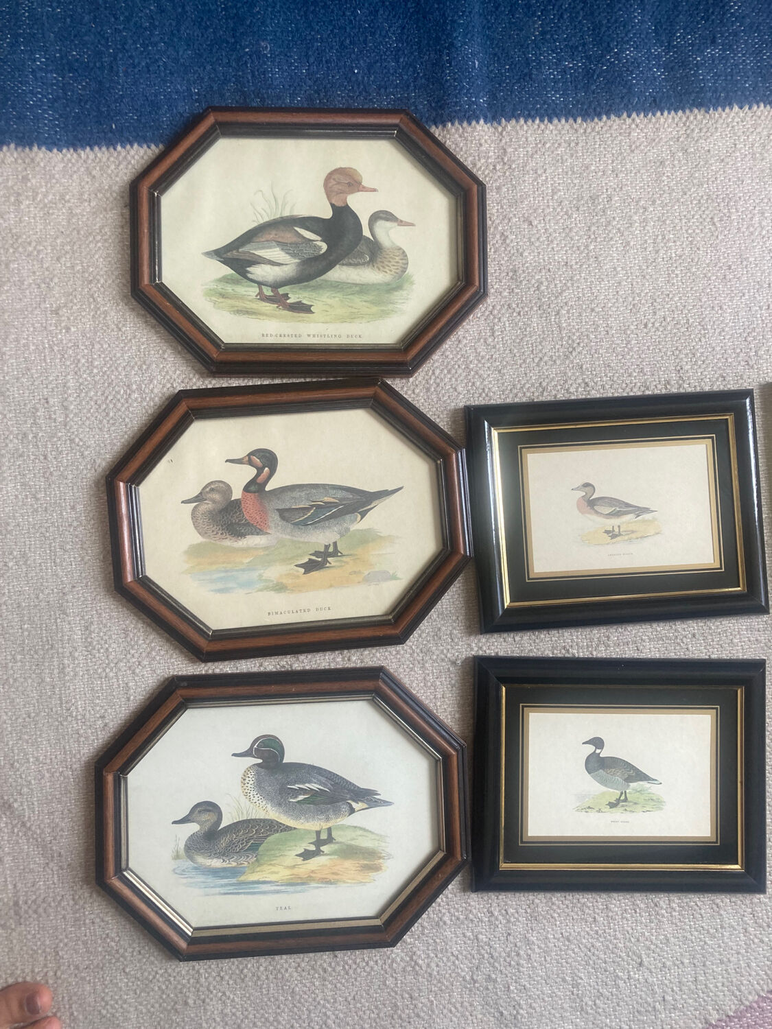 Set of hunting engravings