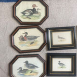 Set of hunting engravings