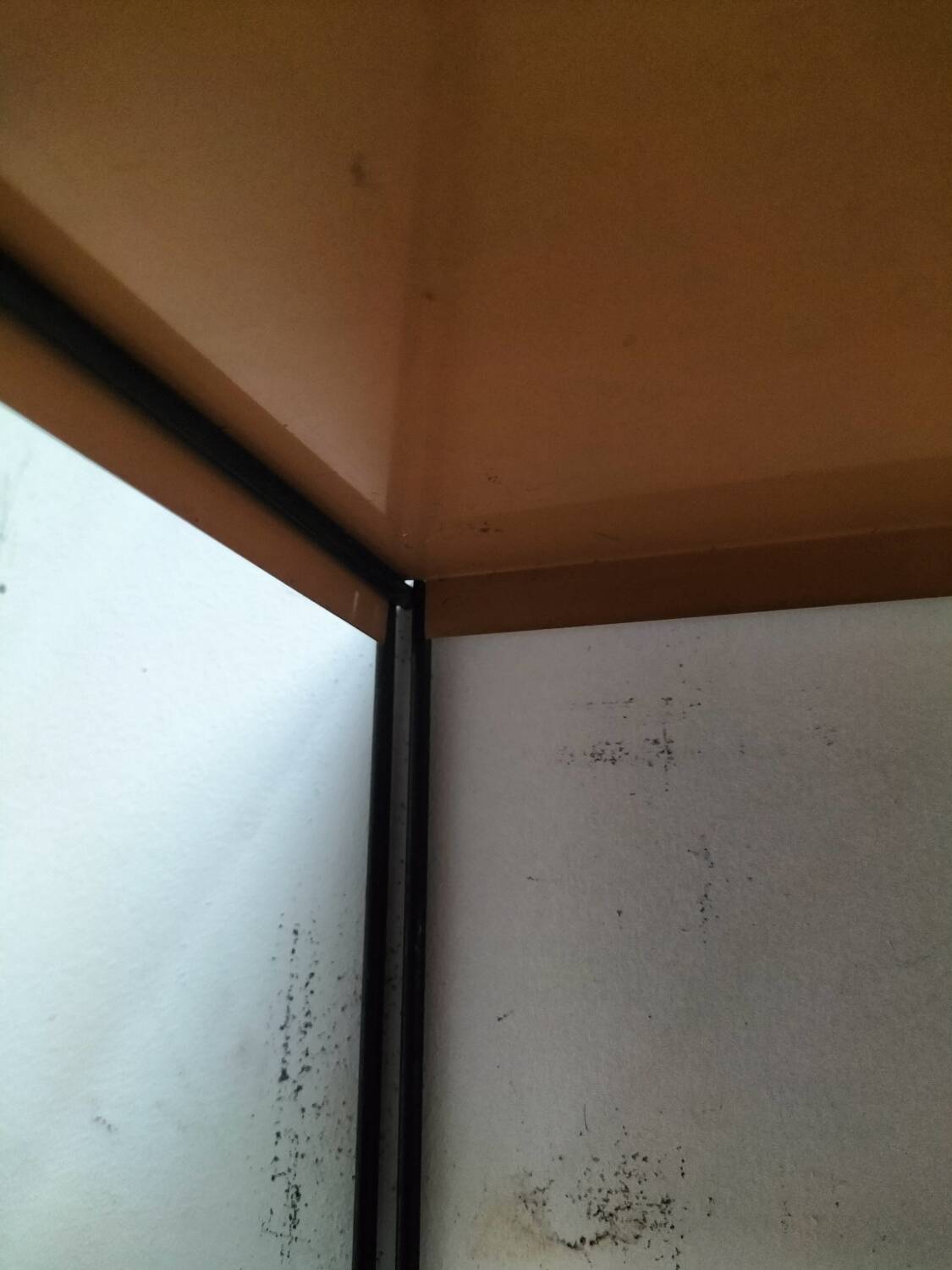 50s modular shelving unit