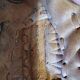 Leather American Baseball Glove