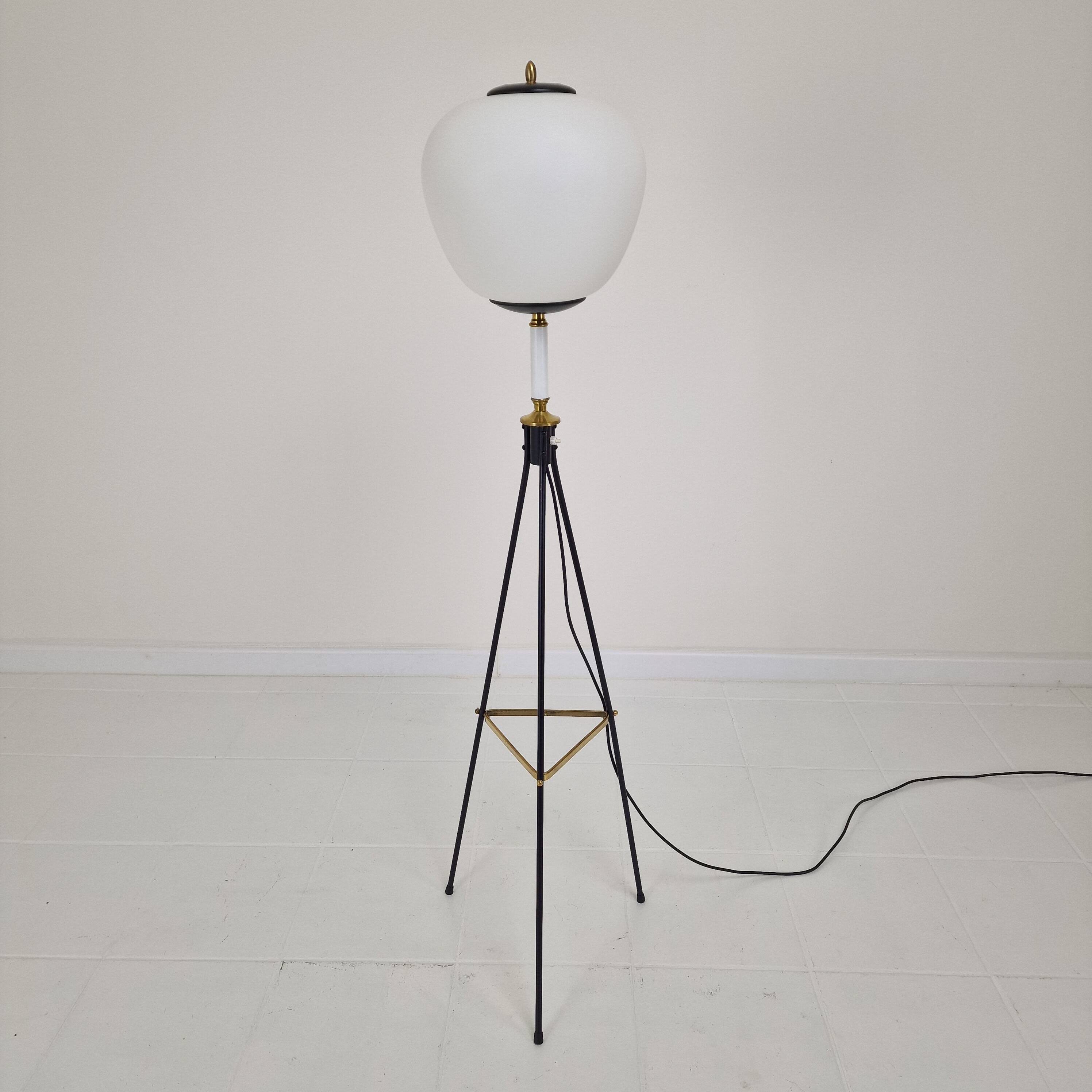 Stilnovo Tripod Floor Lamp, Italy 1950's