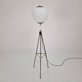 Stilnovo Tripod Floor Lamp, Italy 1950's