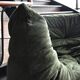 Ligne Roset Togo set