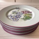 Charles Field Haviland plates
