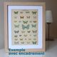 Old lithograph of Butterflies - Engraving from 1887 - Tau - Vintage illustration