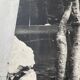 Old XXL black and white tree photograph