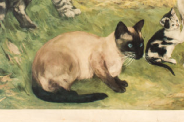 Affiche murale graphique ''chats'' lithographie par V. Tupy 1922