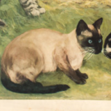 Graphic wall poster "cats" lithography by V. Tupy 1922