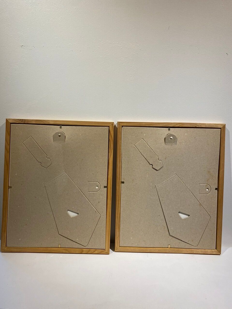 Two framed botanical boards, violets and chrysanthemums