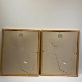 Two framed botanical boards, violets and chrysanthemums