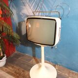 Ribet Desjardins television 1970s