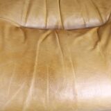 Leather sofa, Albany model, late 70's, Roset edition