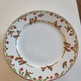 Plate birds