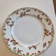 Plate birds