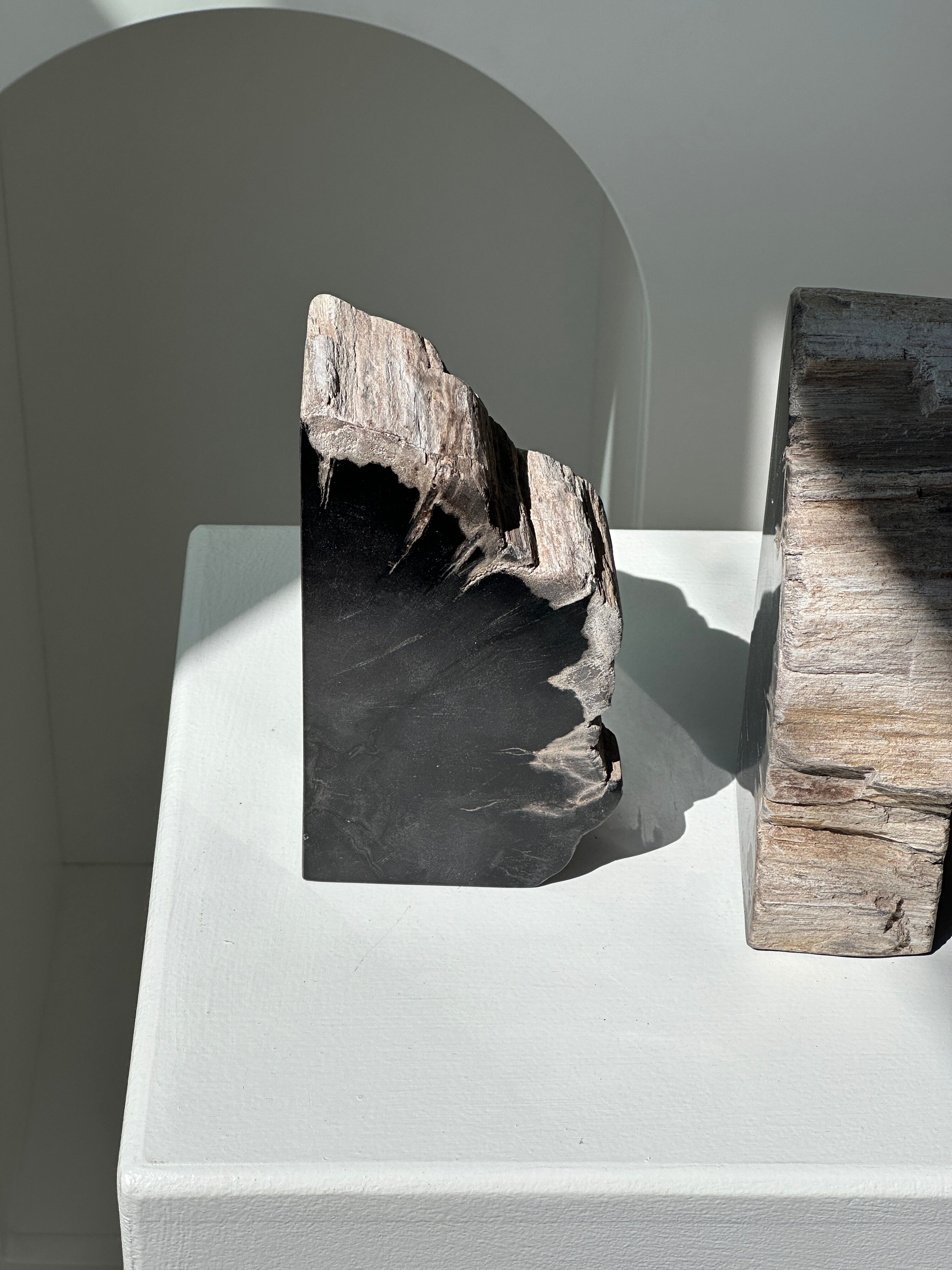 Black petrified wood bookend H17 L17 P6