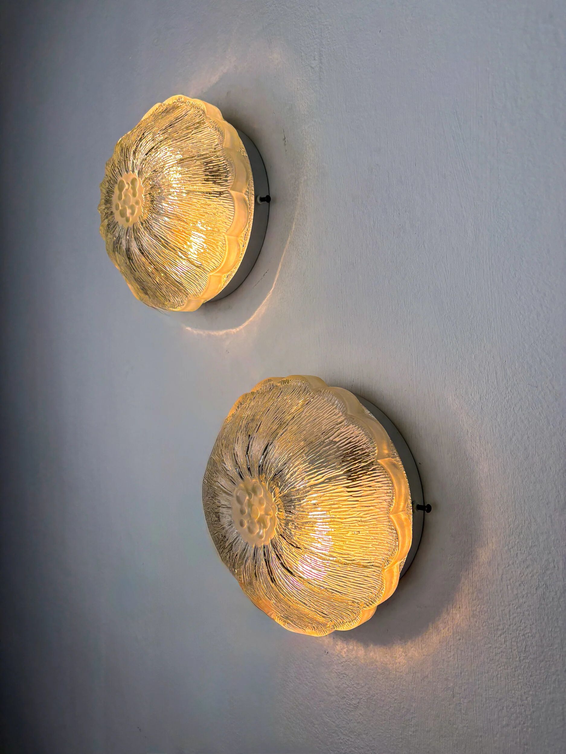 Pair of "Daisy Flower" wall sconces by Limburg, frosted glass, Germany 1960s