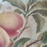 Compotier fruit cup slurry Saint Clement