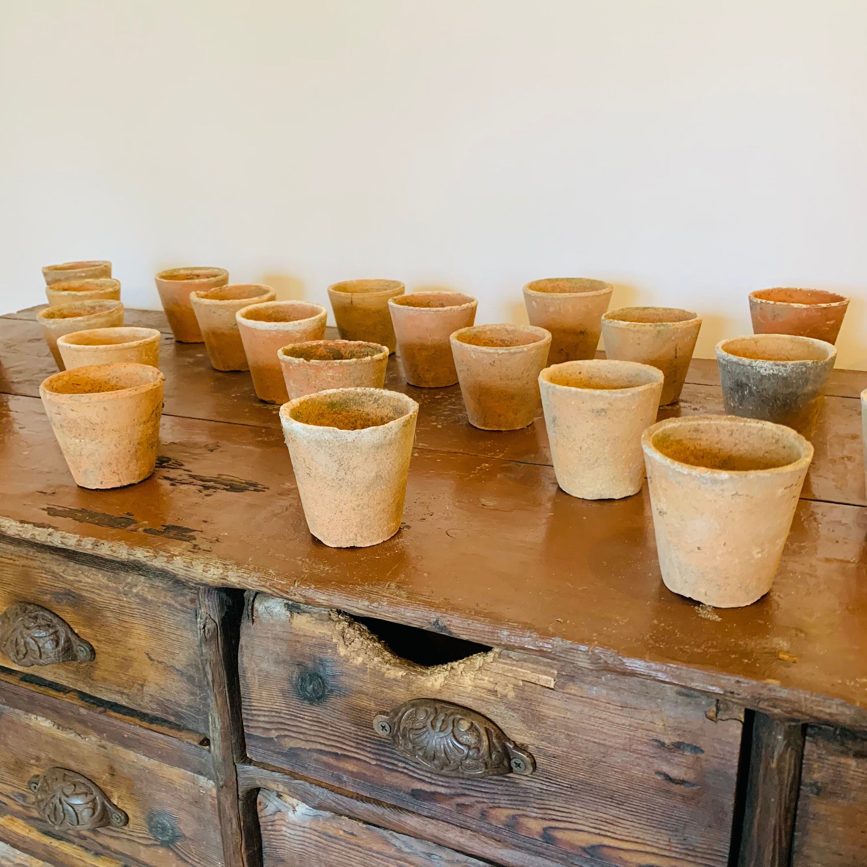 Lot of 30 terracotta pots circa 1930 graineterie