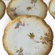 8 porcelain plates from Limoges, Martial Redon / Art Nouveau