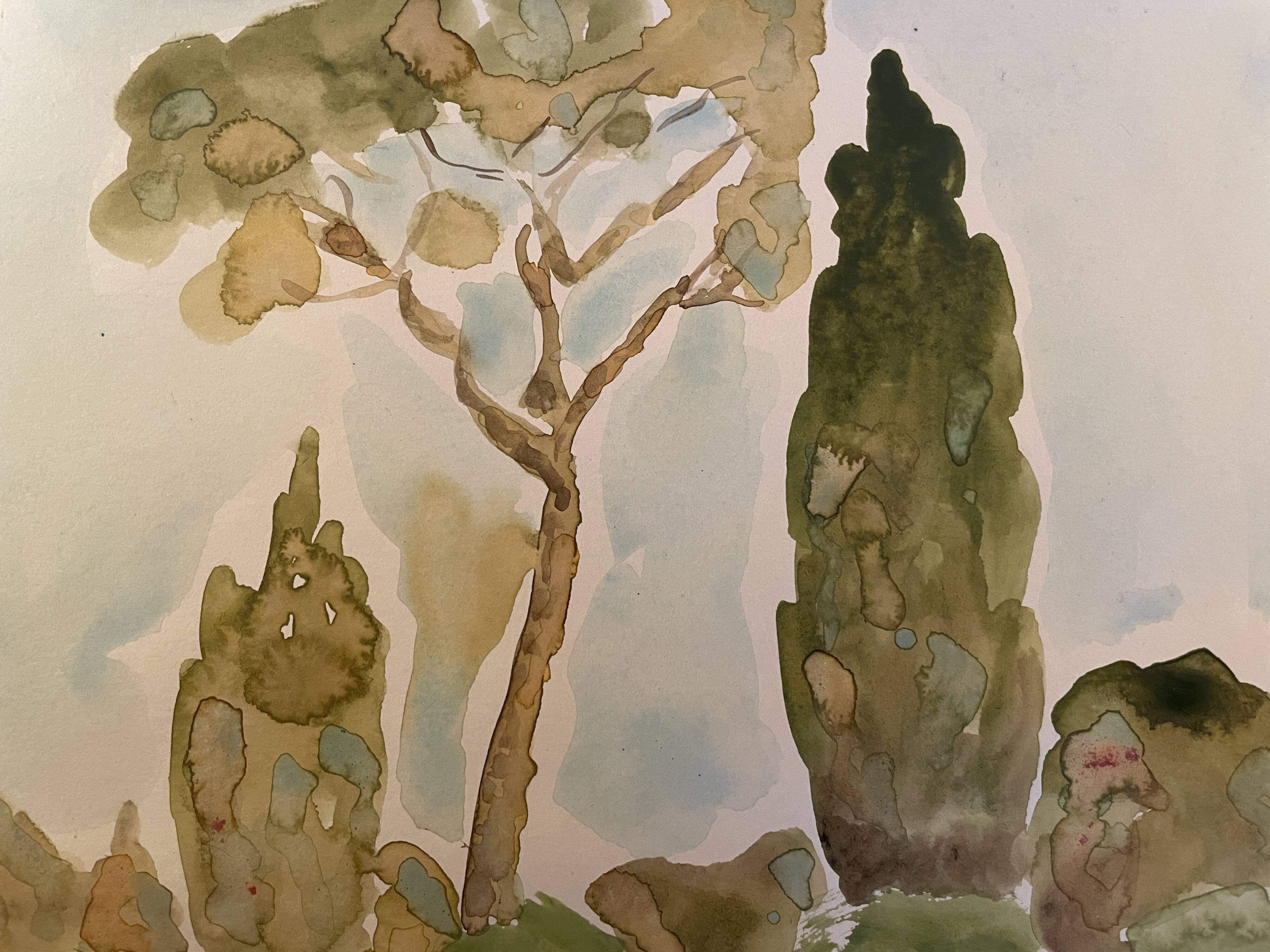Signed watercolor painting “olive tree field in Provence”