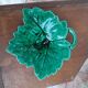 Empty-pocketed Sarreguemines vine leaf