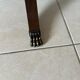 English style lion's legs desk